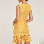 RYSE the Label Michi Photo 1