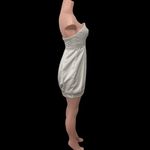 BCBGMAXAZRIA NWT  Satin Pleated Strapless Mini Dress Size 4 Champagne Color‎ Photo 1