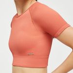 Lilia's Active Ribbed Knit Crop Tee in Sunset Photo 3