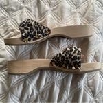 Veronica Beard VB x Dr Scholls leopard mule sandals Photo 5
