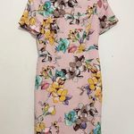 Nation Ltd  Dress Sheath Floral Spring Pink Short Sleeve Summer size 8 Photo 0