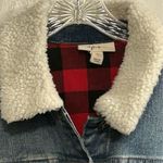 Style & Co  Women's Sherpa Lined Collar Denim Jacket Blue Size L Casual Photo 2