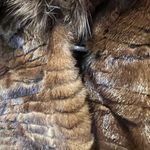 Vintage Filimegas Brown Mink Long Fur Winter Coat Size Medium Photo 13