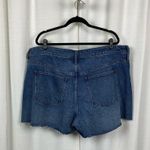 Madewell The Curvy Perfect Vintage Short Sz.22W Photo 9