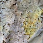 Sunday in Brooklyn Anthropologie  Yellow Lace Floral Cardigan XS Photo 2