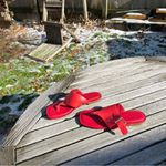 Caslon New Circa Red Leather Thong Sandals size 5 Photo 3