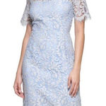 Eliza J ✨. Delicate Allover Lace Light/ Dusty blue Midi Sz 12 Dress✨ Photo 0