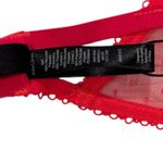 For Love & Lemons Shimmer Zinnia Embroidery Y2K Sheer Underwire Bra 36D NEW Size undefined Photo 5