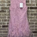 Endless Rose  Tulle Ruffled Mini Dress Blush Pink Ruffled Womens Size Medium NWT Photo 1