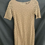 Banana Republic : Cream 3/4 length sleeve Knit Midi dress- cotton blend- size 4 Photo 0