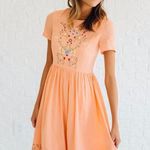 Clad & Cloth Dress Women’s XS Fit and Flare Embroidered Floral Peach Spring Photo 1
