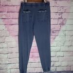 Sundance FADED FIELDS NAVY SUNWASHED FLORAL EMBROIDERED JOGGER PANTS SMALL Photo 1