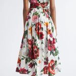 Dolce & Gabbana  floral Poplin fit & flair dress NWT Photo 6