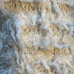 Free People Cream Textured vest NWOT boho large
$138 Photo 3