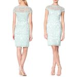 Tadashi Shoji Mint Green Lace Cap Sleeve Dress Size 12 Embroidered Cocktail Photo 1