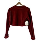 Altar'd State NWT Altar’d State Ribbed Cropped Top Womens S Rust Cozy Casual Long Sleeve Photo 1