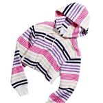 Champion  Urban Outffitters Reverse Weave Striped Cropped Hoodie Size S Photo 9