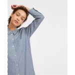 Everlane  The Cotton Shirt Dress‎ Size 2 Striped Blue White Photo 2