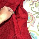 Moulinette Soeurs  by Anthropologie lace peplum top women's size 14 lined 3/4 slv Photo 10