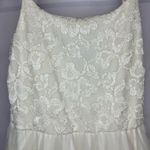 Windsor  Cream Lace Tulle Dress, Sleeveless Fit & Flare Formal Party L Photo 2
