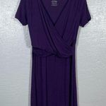 Kindred Bravely Women L Purple The Angelina Ultra Soft Maternity Nursing Dress Size undefined Photo 0