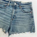 American Eagle  Highest Rise 90s Boyfriend Short Denim Stretch Size 8/29 NWT Photo 3