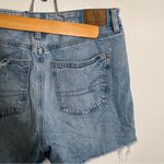 American Eagle  Denim Baggy Mom Short Light Wash Distressed 2 Photo 8