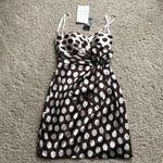 Max and Cleo NWT  Polka Dot print Dress Size 4 Photo 3