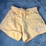 PacSun Shorts Photo 0
