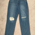Sam Edelman Yaro High Rise 90s Pinched Waist Denim Distressed Jeans Women's 32 Photo 0