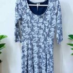 LC Lauren Conrad  Skater Style Dress Medium Photo 0