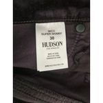 Hudson  Nico Midrise Skinny Purple Ombre Velvet Cropped Ankle Pants Sz 30 Stretch Photo 5