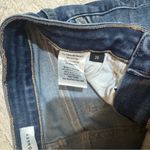 Vervet Flying Monkey Classic Blue Denim Shorts Photo 2