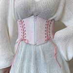 Pink Glitter Fairycore Metallic Pastel Harajuku Corset Belt Balletcore Photo 5