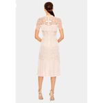 Mac Duggal Floral Embroidered Sheer Mesh Dress Blush 12 Photo 3