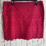 G.H. Bass & Co. NWT Pink Eyelet Cottagecore Mini Skirt Size 12 Photo 1