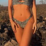 Strawberry Milk Mob  Zebra Bikini Set Photo 1