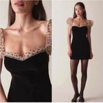 Camila Coelho NWT  Swiss Dot Sheer Puff Sleeve Velvet Mini Dress Photo 2