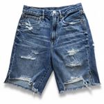 American Eagle  Outfitters long shorts Photo 0