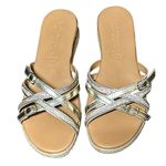 Women's Fabio Maggenti Gold Silver Rhinestone Wedge Sandals US 8M Size 12 Photo 1