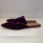 Madewell Women’s Gemma Mule Velvet Purple with Pointed Toe Shoes Size 6 Photo 2