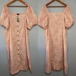 J.Crew Dress Women Size 2X Pink Leopard Cottage Regency Cottagecore Animal Print Photo 1