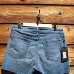 Rag and Bone NWT Dre Low Rise Denim Jean Cut Off Shorts Photo 7