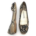 Jack Rogers  Square Toe Buckle Ballet Flats Embossed Leather Snake Print Size 8 Photo 1