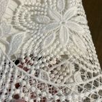 Anthropologie Charleston Lace Mini Dress Photo 13