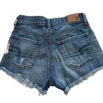 American Eagle AEO Shorts Jean Distress Floral Bird Embroidery Vintage Hi Rise Festival Size 00 Photo 4