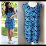 CAbi Java dress Photo 2