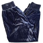 Anthropologie Gloria Velvet Joggers Blue Size XS
Retail $128.00 Photo 1