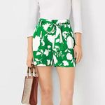 Ann Taylor Floral Satin Shorts Green and White 6P New with Tags (no belt) Photo 10