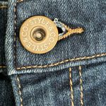 Style & Co NWT- Fray Hem Shorts Size 10 Photo 2